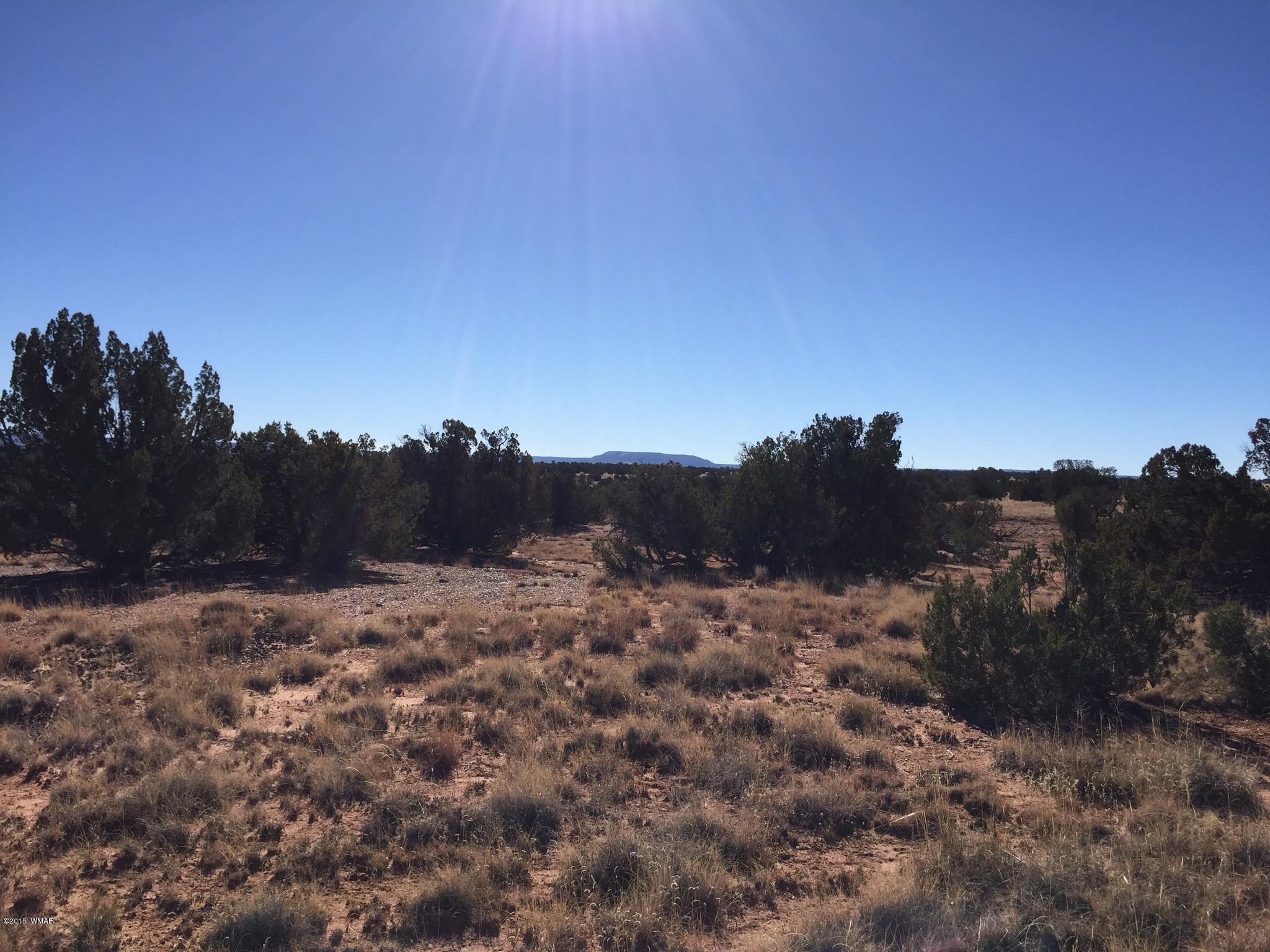 N9027 Apache County Road Concho, AZ 85924 - Photo 12 of 14