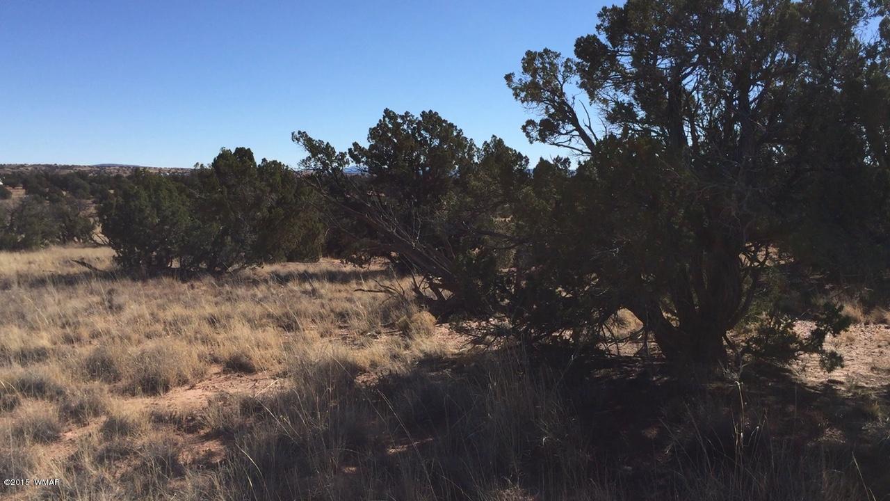 N9027 Apache County Road Concho, AZ 85924 - Photo 13 of 14