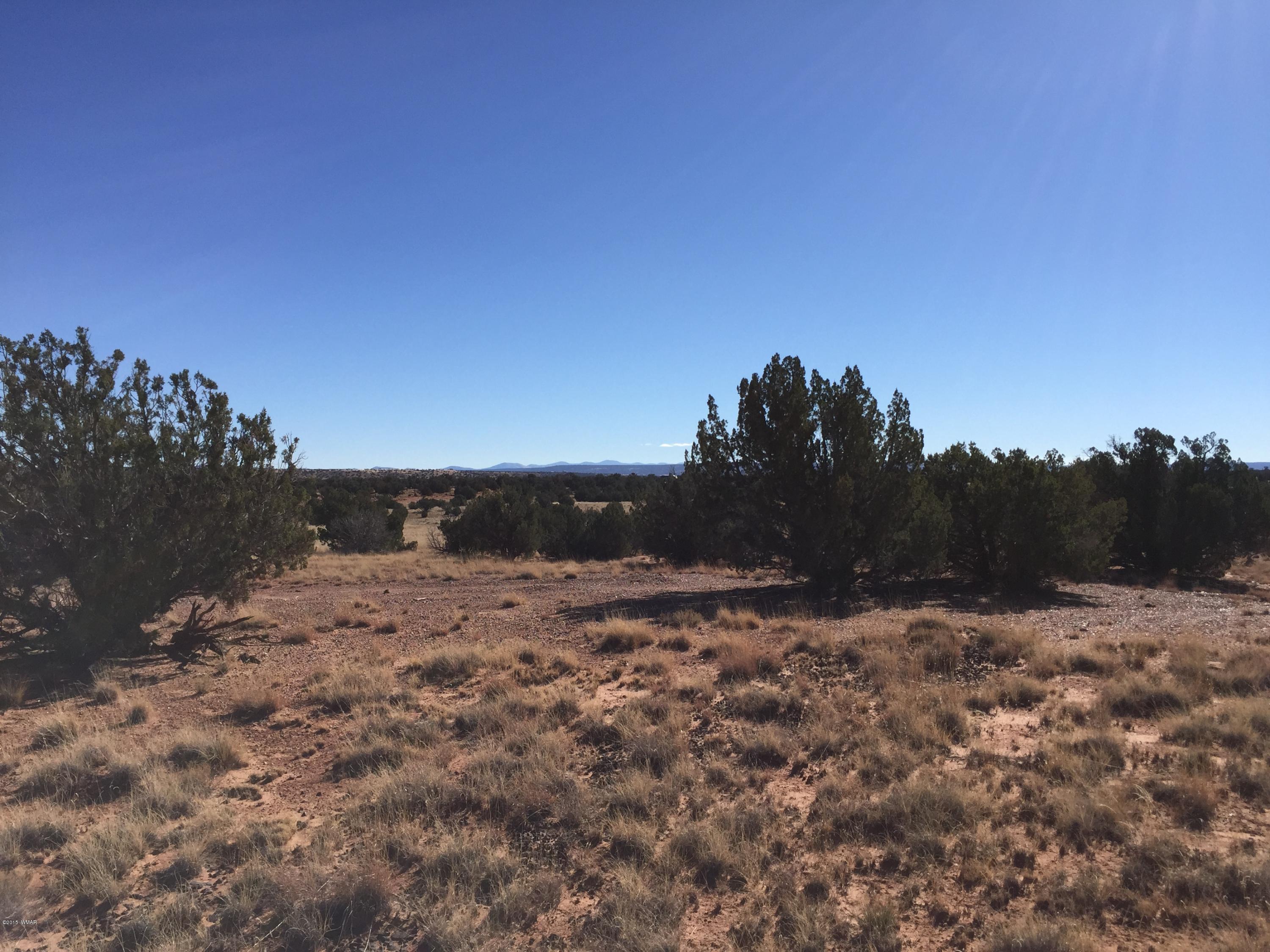 N9027 Apache County Road Concho, AZ 85924 - Photo 2 of 14