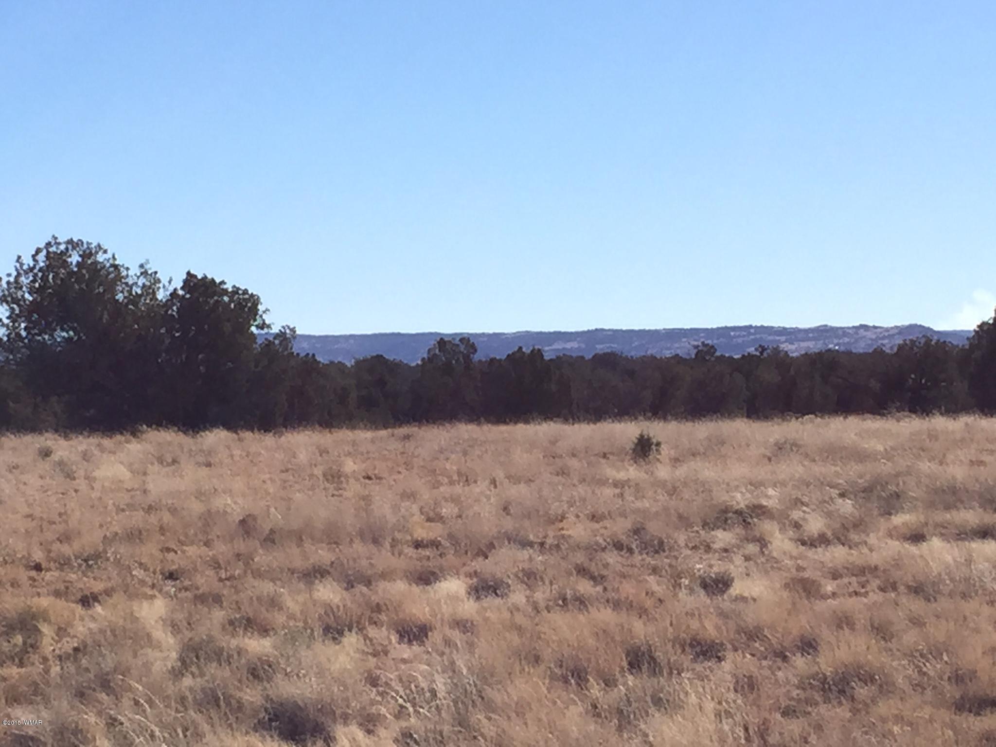 N9027 Apache County Road Concho, AZ 85924 - Photo 3 of 14