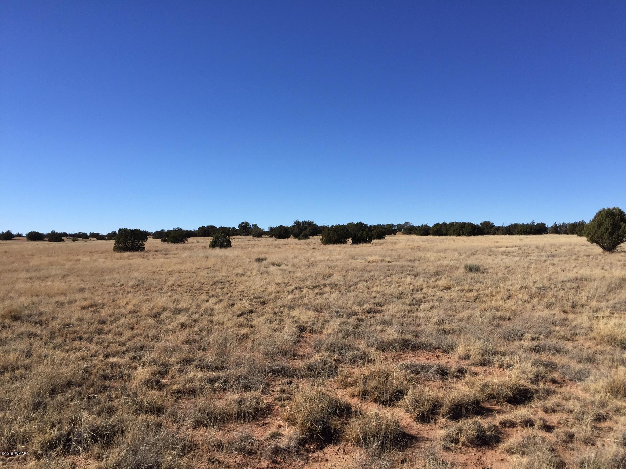 N9027 Apache County Road Concho, AZ 85924 - Photo 4 of 14