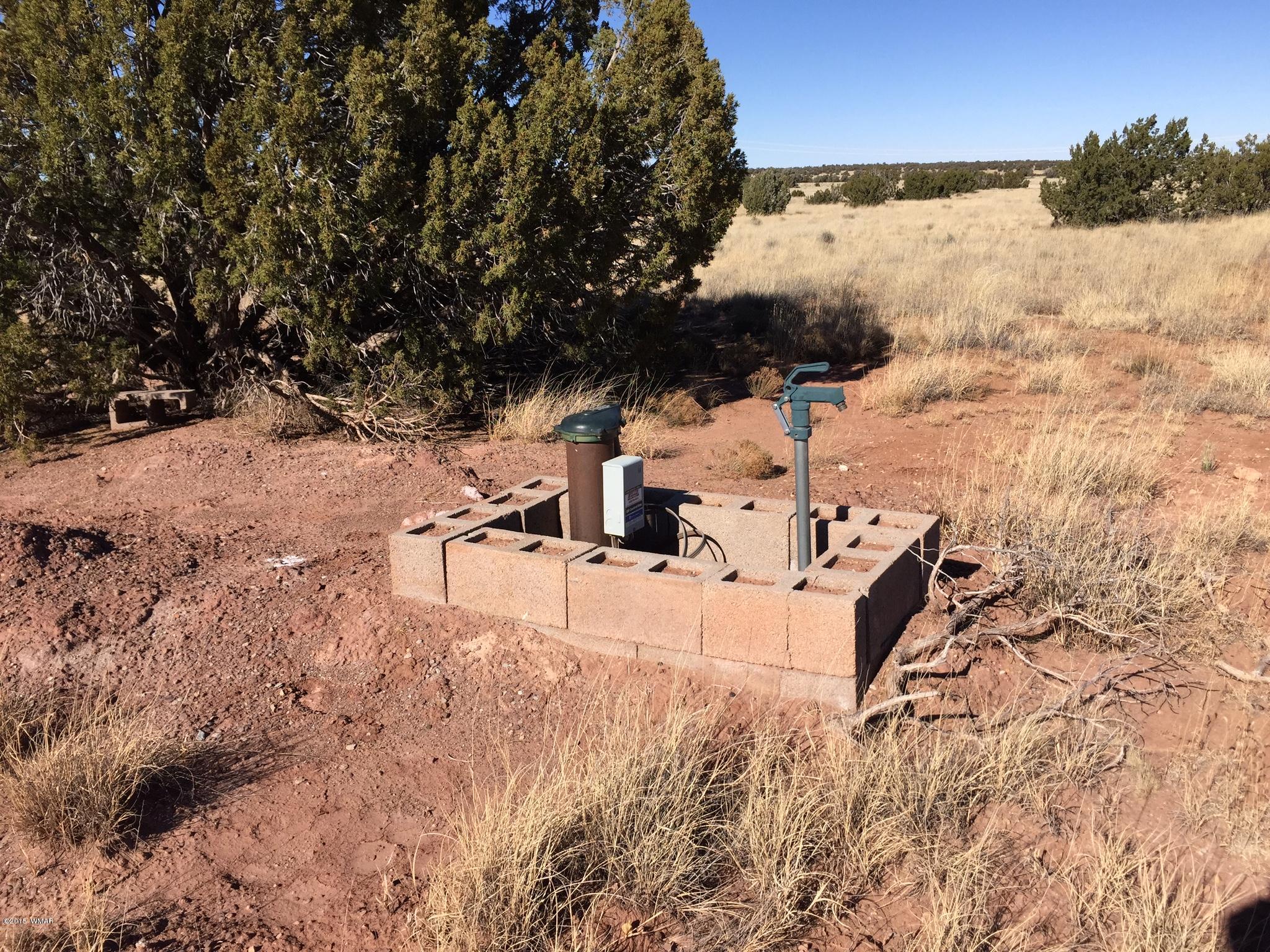 N9027 Apache County Road Concho, AZ 85924 - Photo 6 of 14
