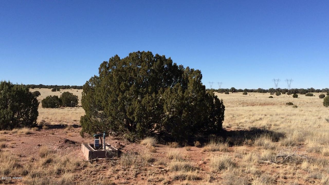 N9027 Apache County Road Concho, AZ 85924 - Photo 7 of 14
