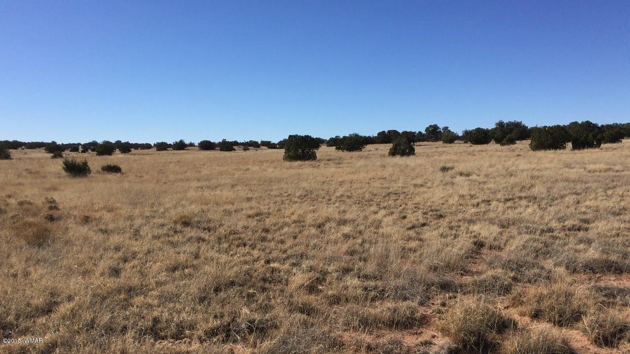 N9027 Apache County Road Concho, AZ 85924 - Photo 10 of 14