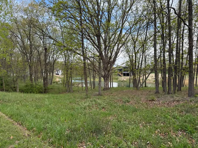 a view of a big yard with large trees