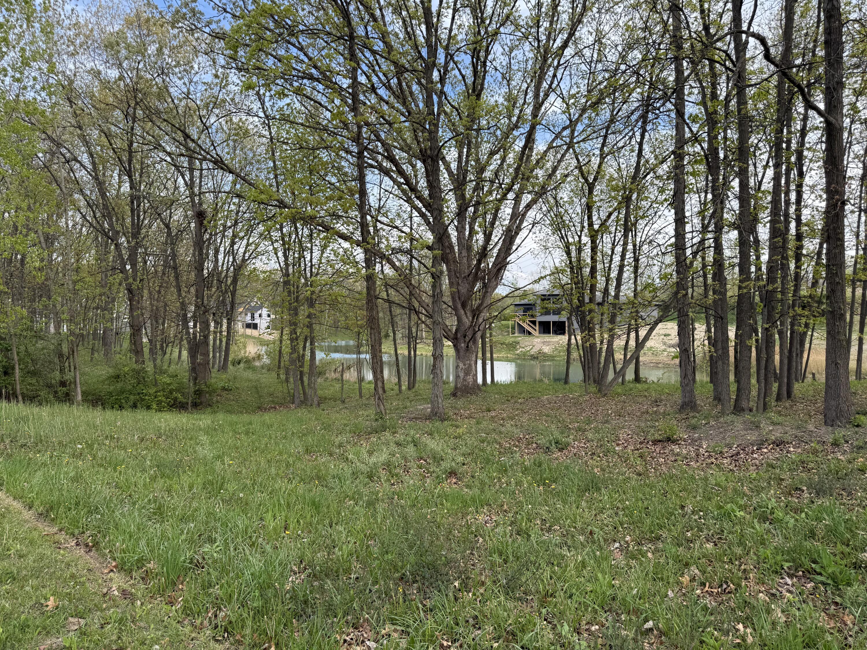 a view of a big yard with large trees