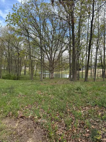 a view of outdoor space with trees all around