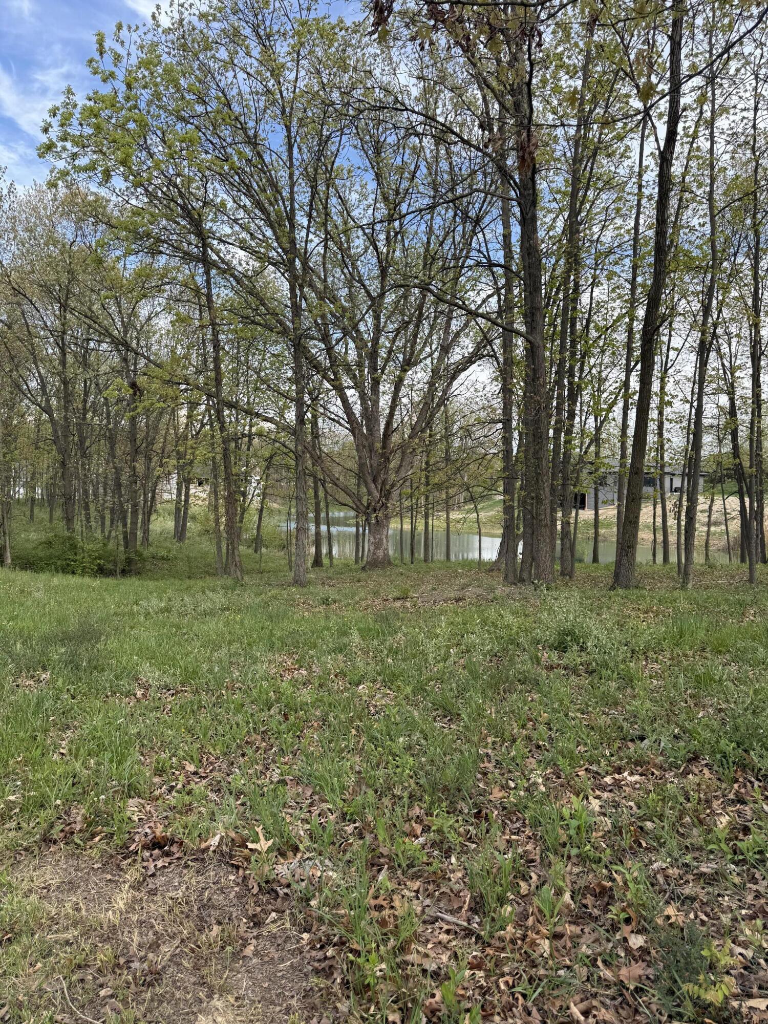 744 Ketill Court Crown Point, IN 46307 - Photo 4 of 6 a view of outdoor space with trees all around
