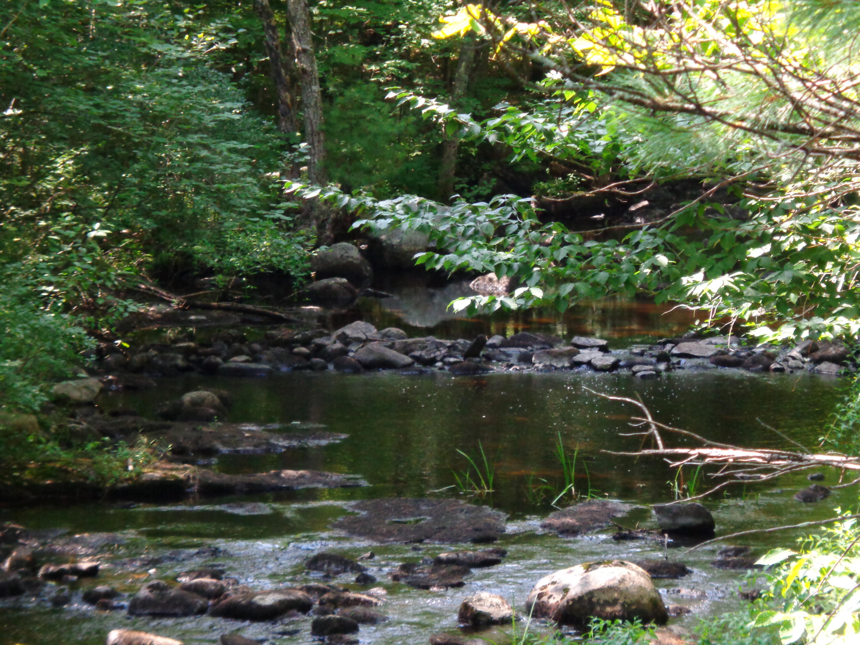 309 Stone Hill Road Limerick, ME 04048 - Photo 2 of 48 DSC00574