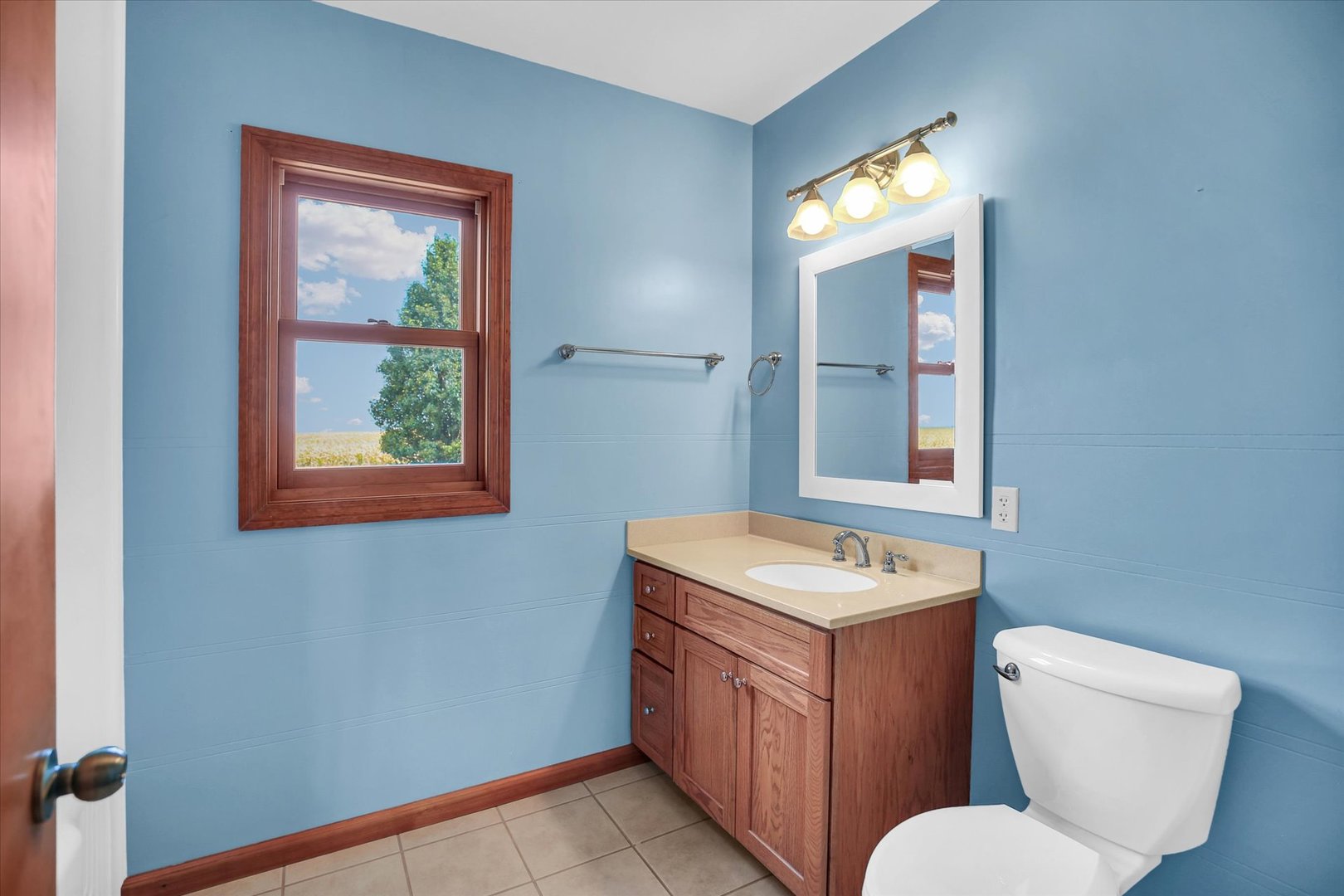 2151 East 2600 North Road Armstrong, IL 61812 - Photo 26 of 56 a bathroom with a toilet sink and mirror