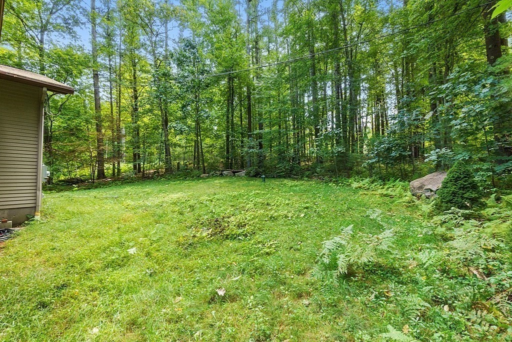 342 Taylor Road Stow, MA 01775 - Photo 42 of 42 a view of a green field with trees in the background