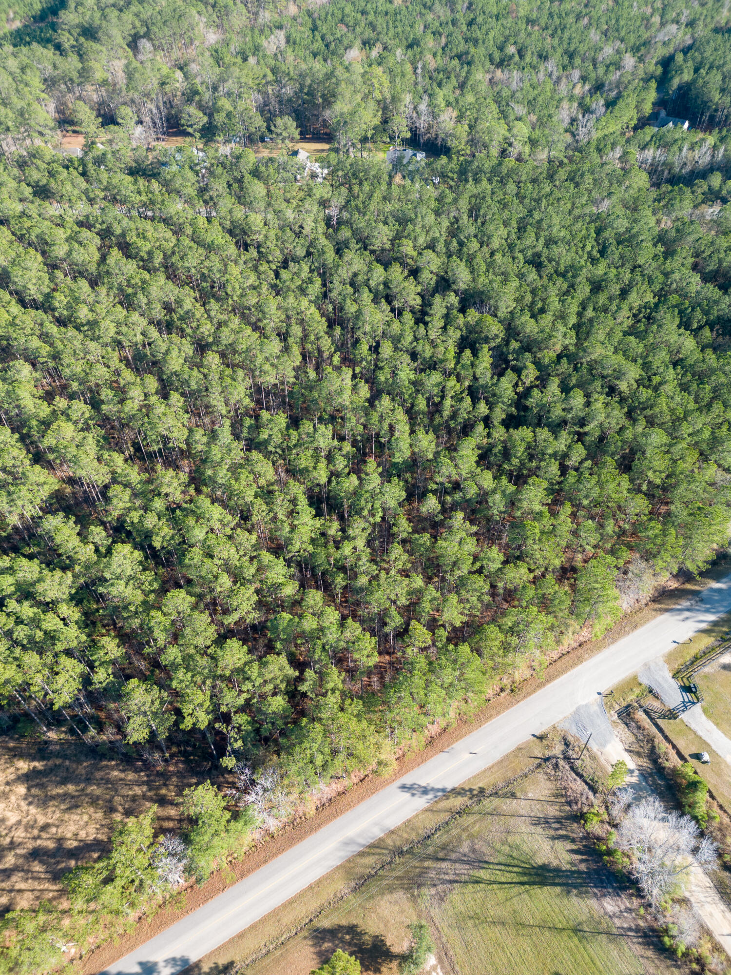 0 Saab Drive, Unit 2 Ridgeville, SC 29472 - Photo 1 of 9 DJI_0136