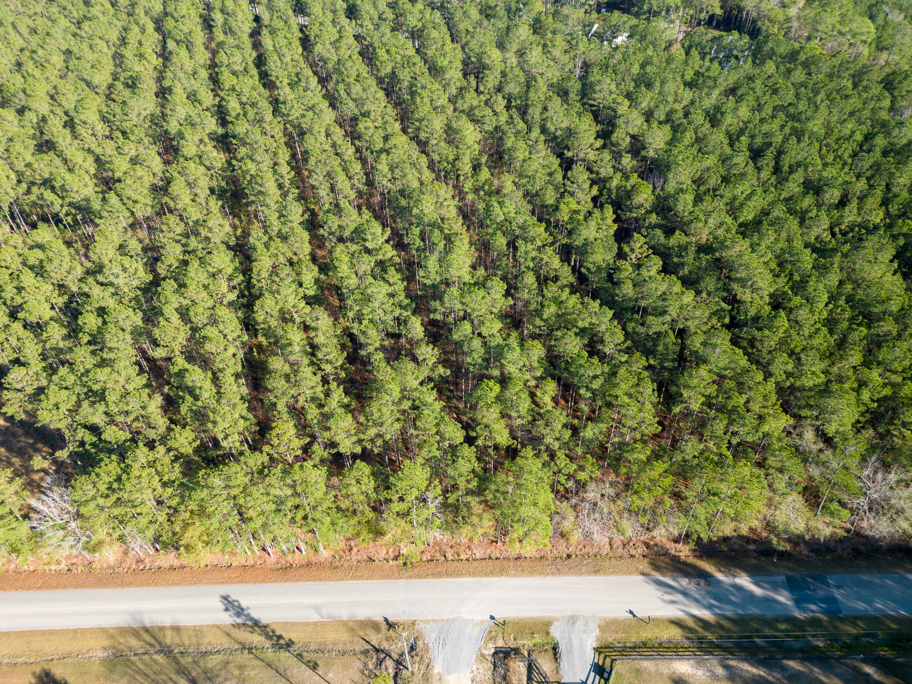 0 Saab Drive, Unit 2 Ridgeville, SC 29472 - Photo 9 of 9 DJI_0127