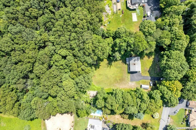 a view of a yard with plants