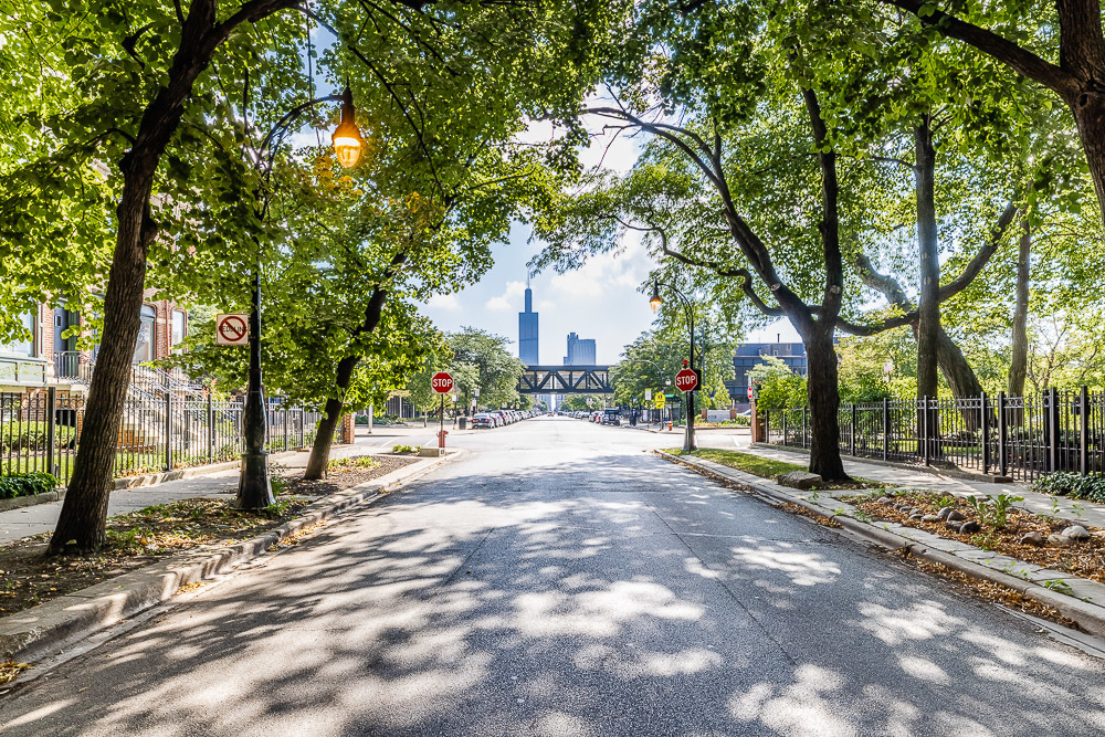 1546 West Jackson Boulevard Chicago, IL 60607 - Photo 46 of 52