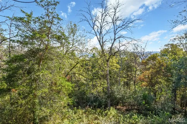 $175,000 | 573 State Hwy Y, Forsyth, MO 65653