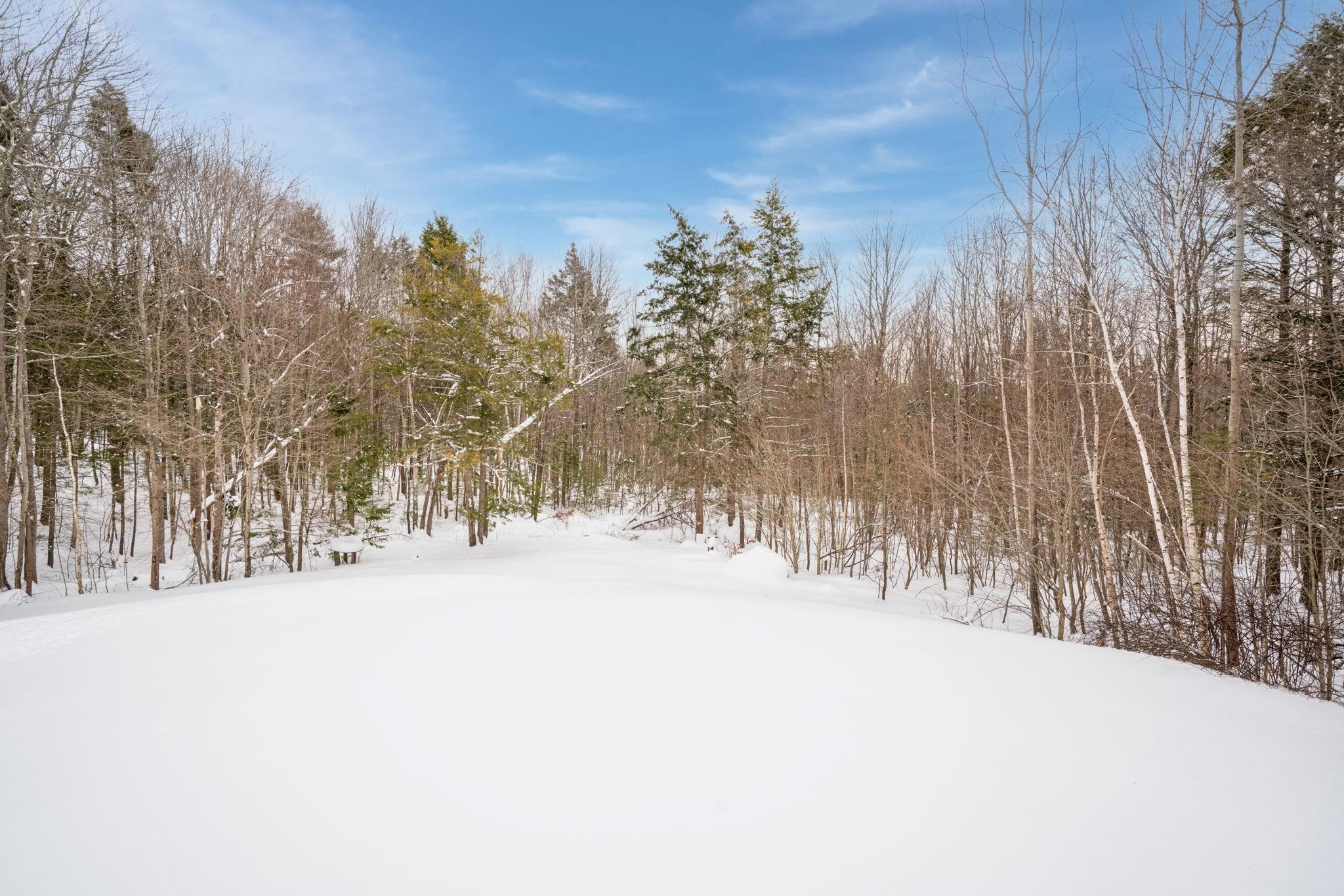 25 Revolutionary Lane Nottingham, NH 03290 - Photo 12 of 60