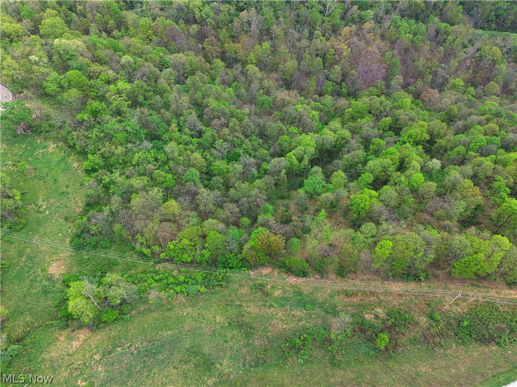 0 Bealls Ridge Wellsburg, WV 26070 - Photo 39 of 46