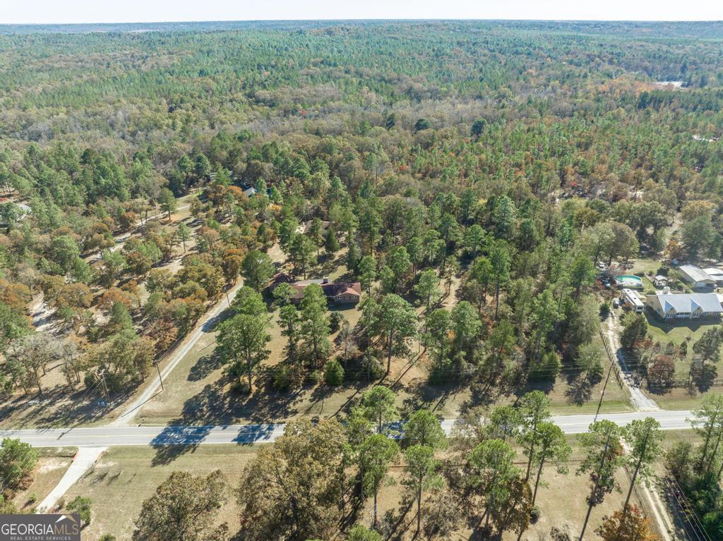 2574 Lower Hartley Bridge Road Byron, GA 31008 - Photo 35 of 45 a view of a forest with a city