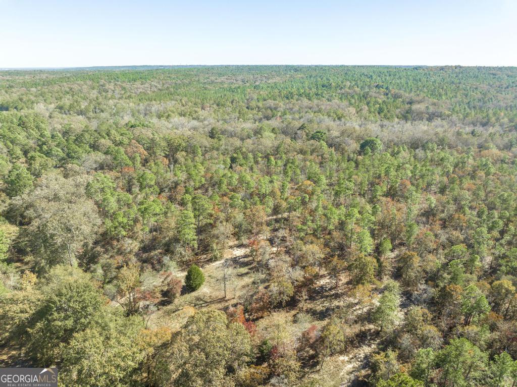 2574 Lower Hartley Bridge Road Byron, GA 31008 - Photo 37 of 45 a view of a field