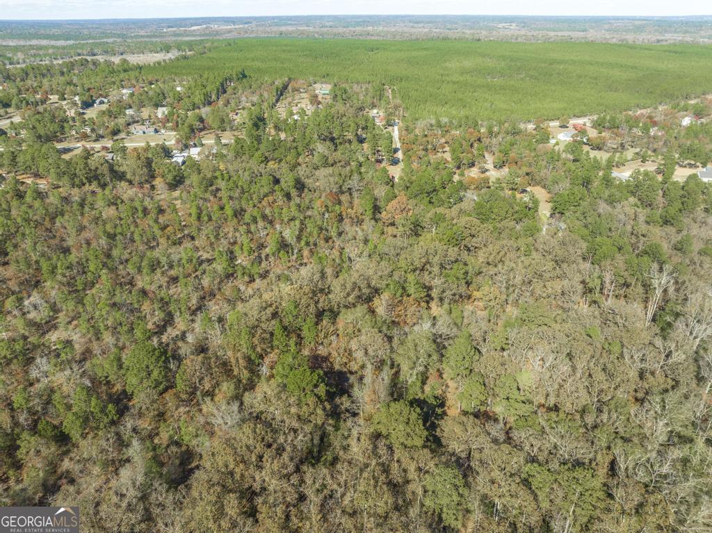 2574 Lower Hartley Bridge Road Byron, GA 31008 - Photo 39 of 45 a view of a field with an ocean view