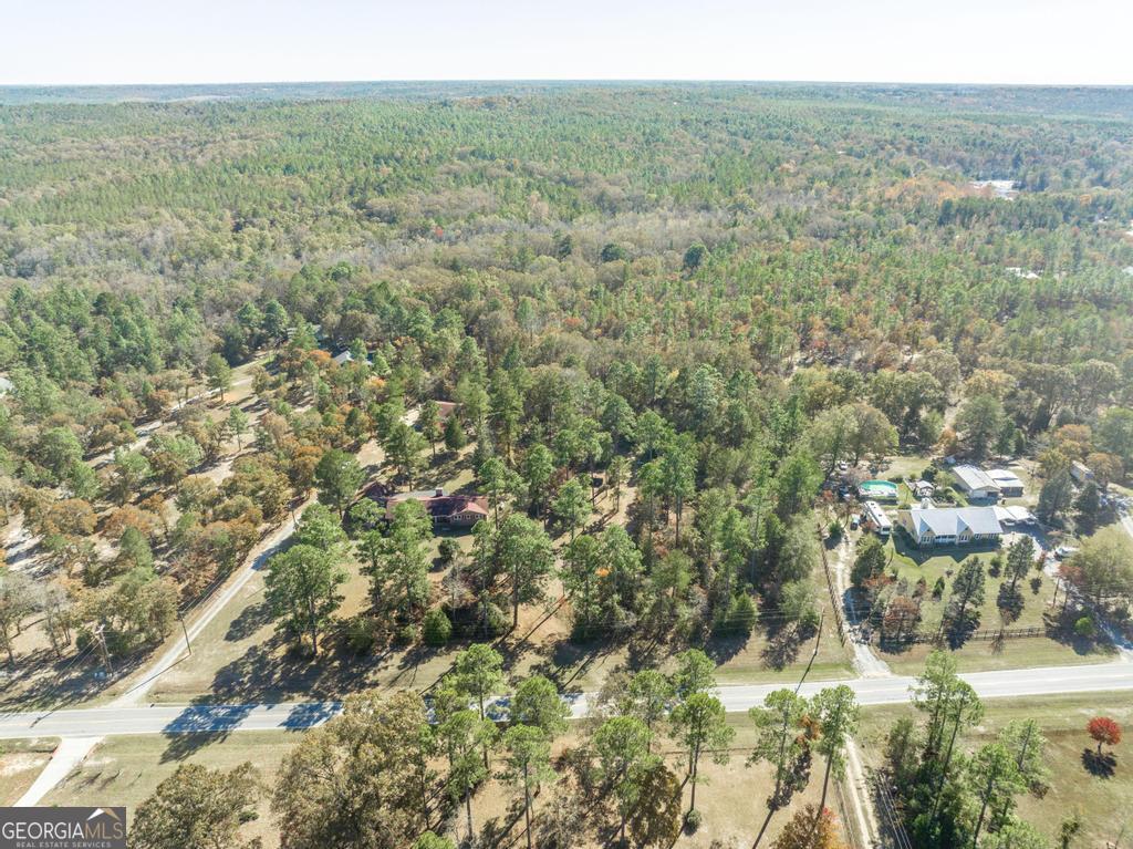 2574 Lower Hartley Bridge Road Byron, GA 31008 - Photo 42 of 45 a view of a city with lush green forest