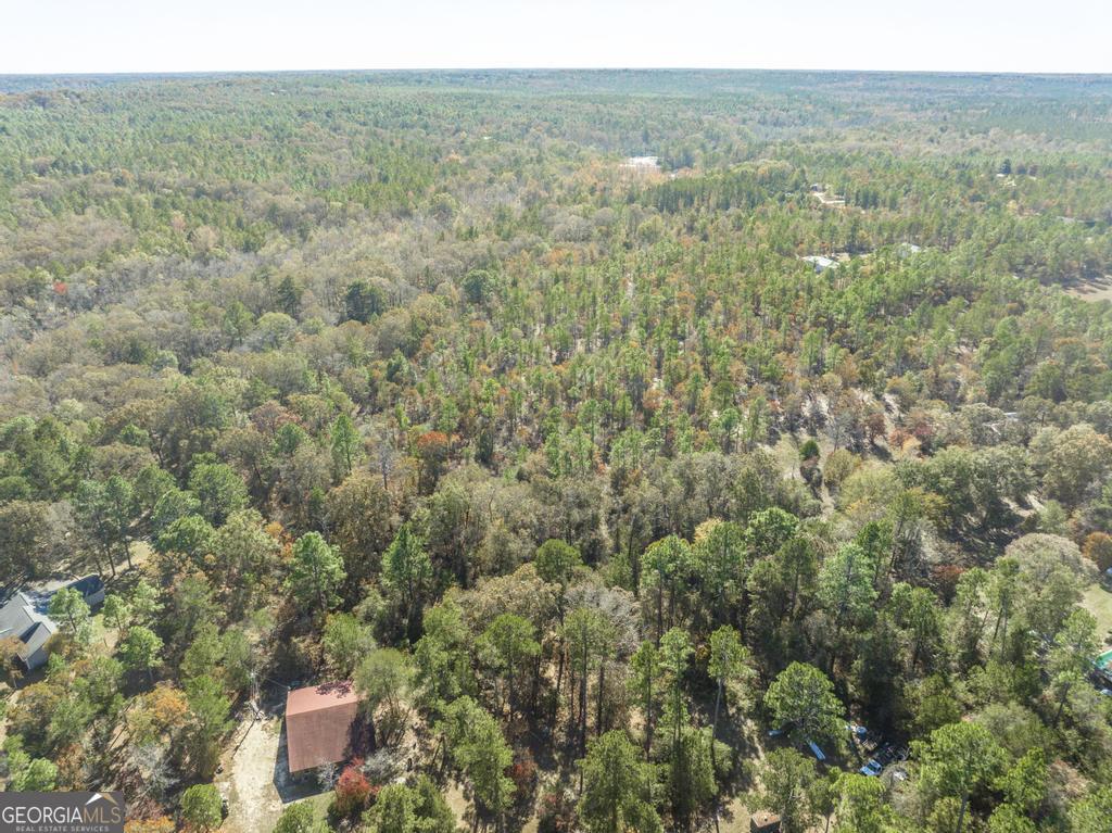 2574 Lower Hartley Bridge Road Byron, GA 31008 - Photo 43 of 45 a view of a city with lush green forest