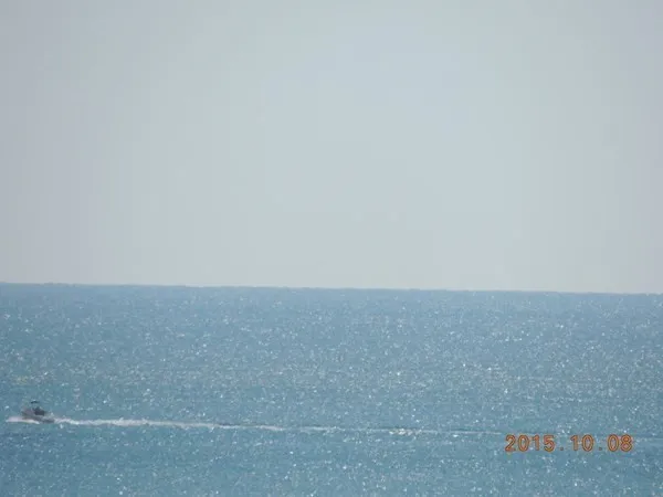 an outdoor space with a potted plant