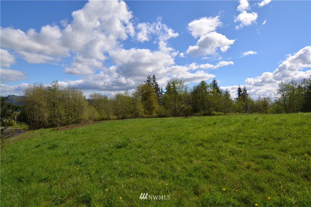 1305 Carroll Road Kelso, WA 98626 - Photo 1 of 25 Gallery Image 1