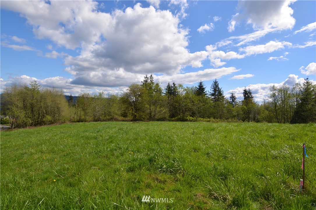 1305 Carroll Road Kelso, WA 98626 - Photo 2 of 25 Gallery Image 2