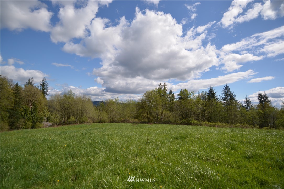 1305 Carroll Road Kelso, WA 98626 - Photo 11 of 25 Gallery Image 11