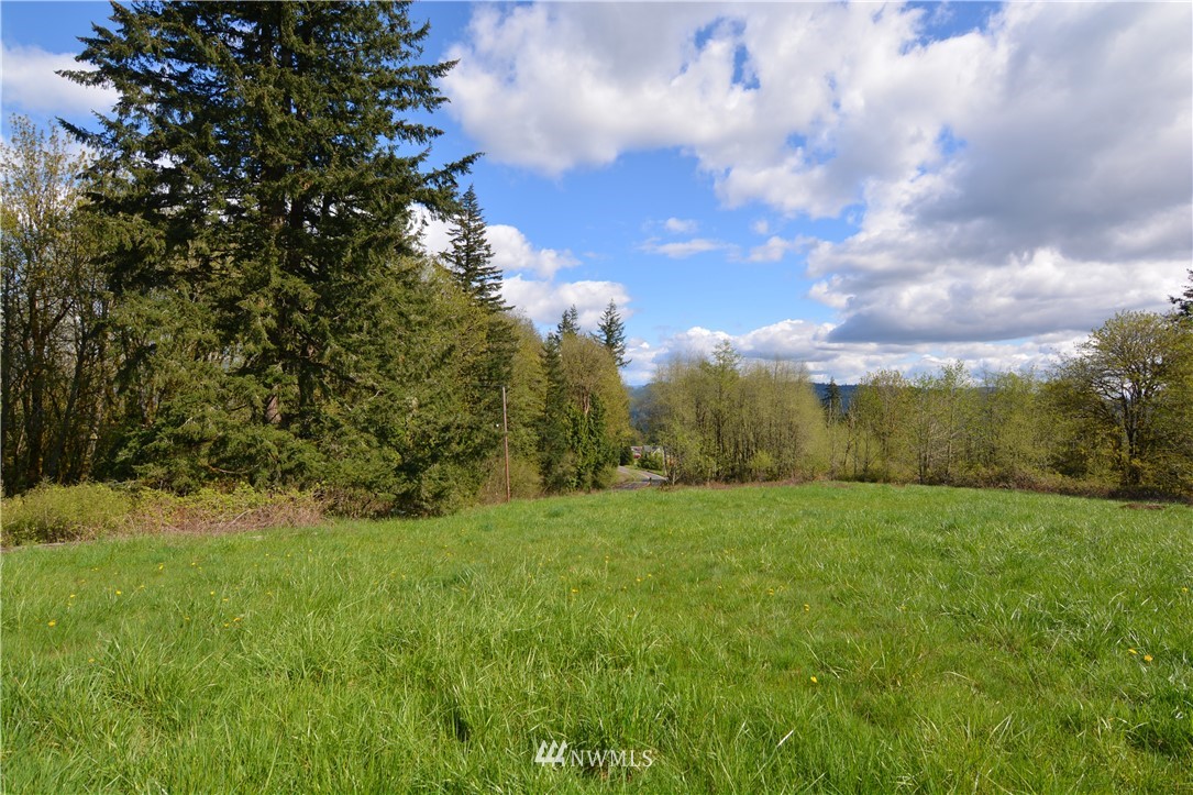 1305 Carroll Road Kelso, WA 98626 - Photo 12 of 25 Gallery Image 12