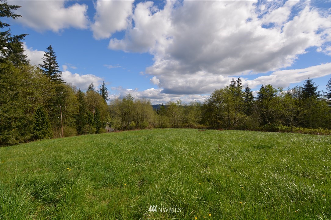 1305 Carroll Road Kelso, WA 98626 - Photo 13 of 25 Gallery Image 13