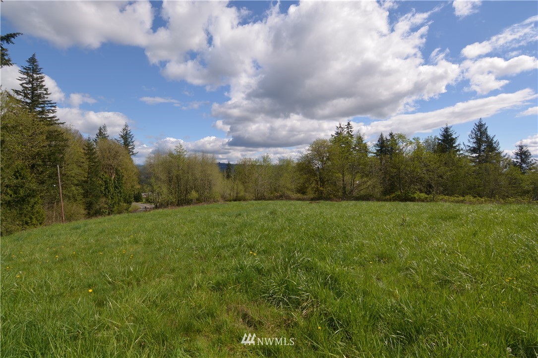 1305 Carroll Road Kelso, WA 98626 - Photo 14 of 25 Gallery Image 14