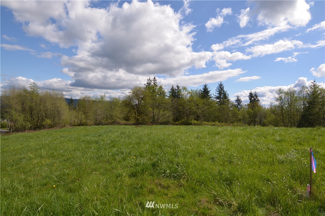 1305 Carroll Road Kelso, WA 98626 - Photo 15 of 25 Gallery Image 15