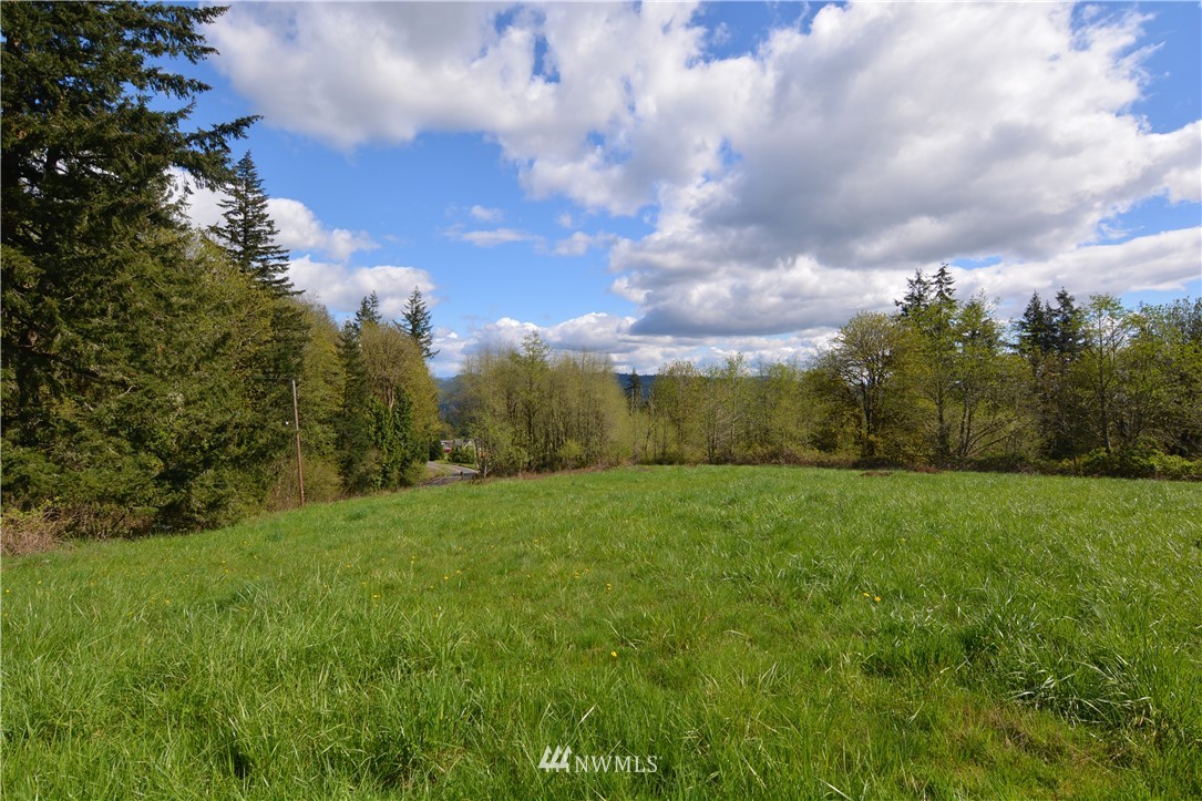 1305 Carroll Road Kelso, WA 98626 - Photo 16 of 25 Gallery Image 16