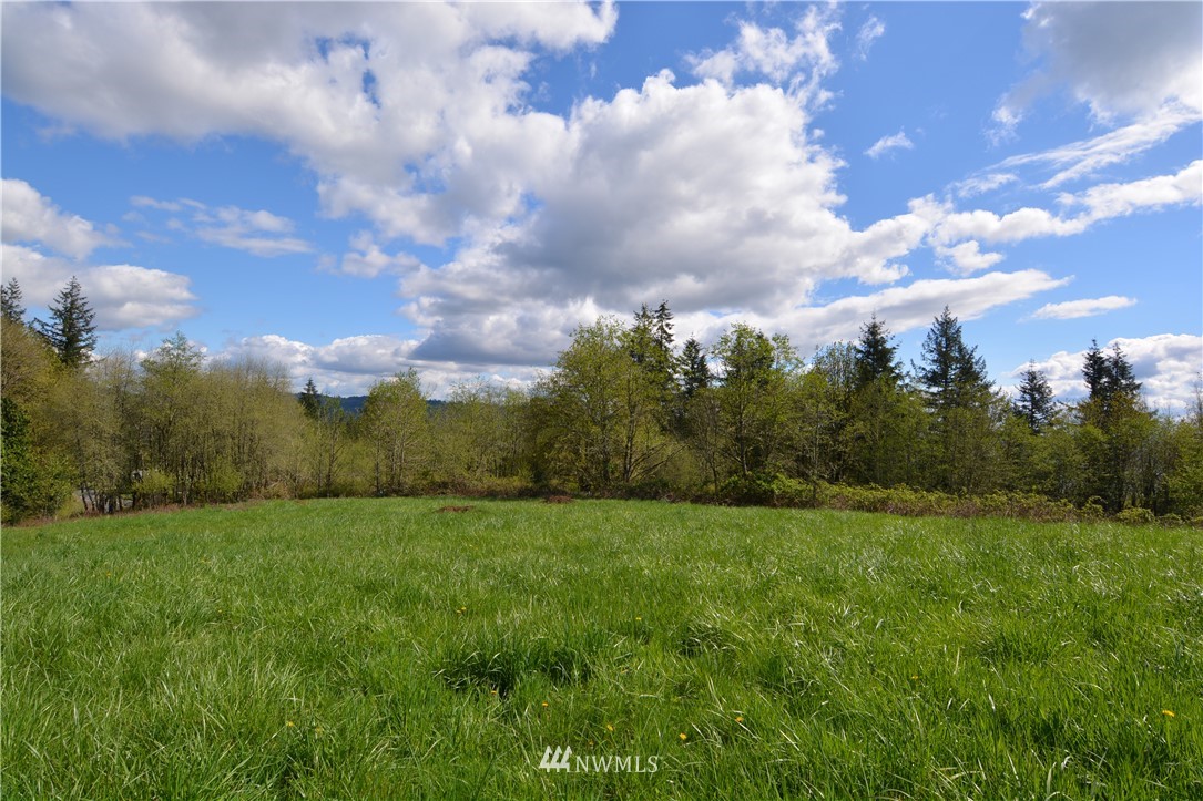 1305 Carroll Road Kelso, WA 98626 - Photo 17 of 25 Gallery Image 17
