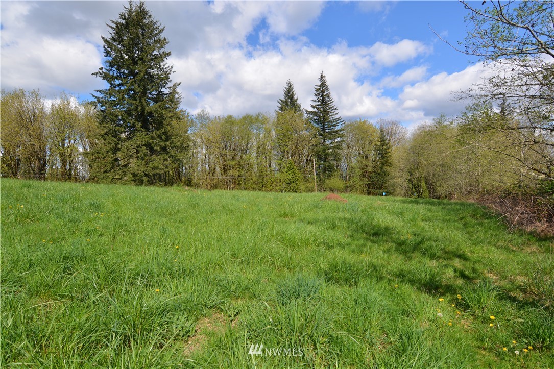1305 Carroll Road Kelso, WA 98626 - Photo 19 of 25 Gallery Image 19