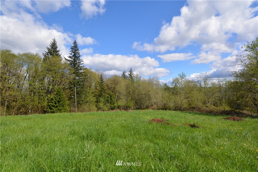 1305 Carroll Road Kelso, WA 98626 - Photo 20 of 25 Gallery Image 20
