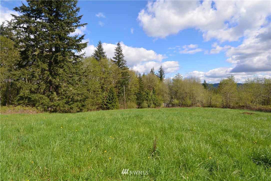 1305 Carroll Road Kelso, WA 98626 - Photo 3 of 25 Gallery Image 3