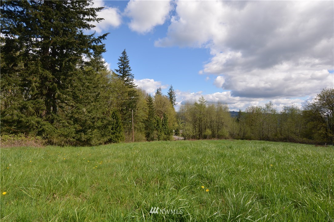 1305 Carroll Road Kelso, WA 98626 - Photo 21 of 25 Gallery Image 21