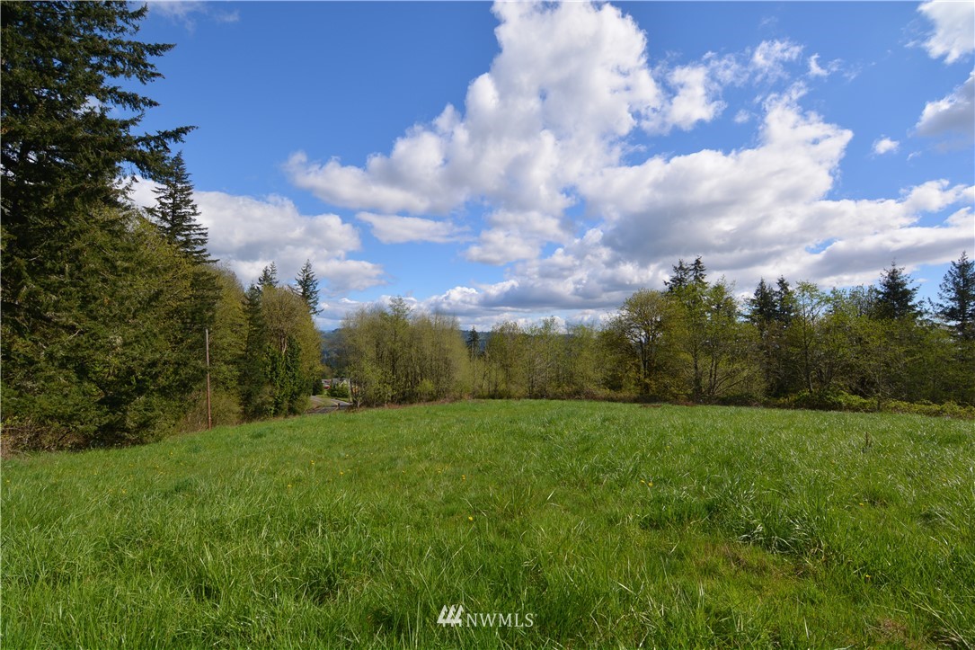 1305 Carroll Road Kelso, WA 98626 - Photo 23 of 25 Gallery Image 23