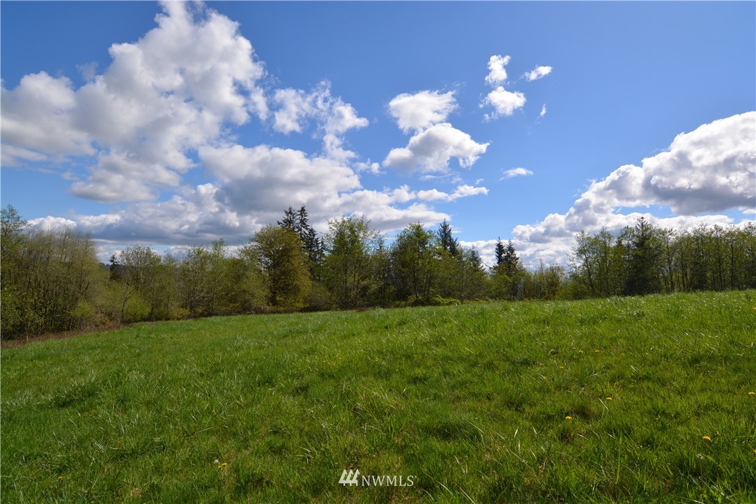 1305 Carroll Road Kelso, WA 98626 - Photo 25 of 25 Gallery Image 25