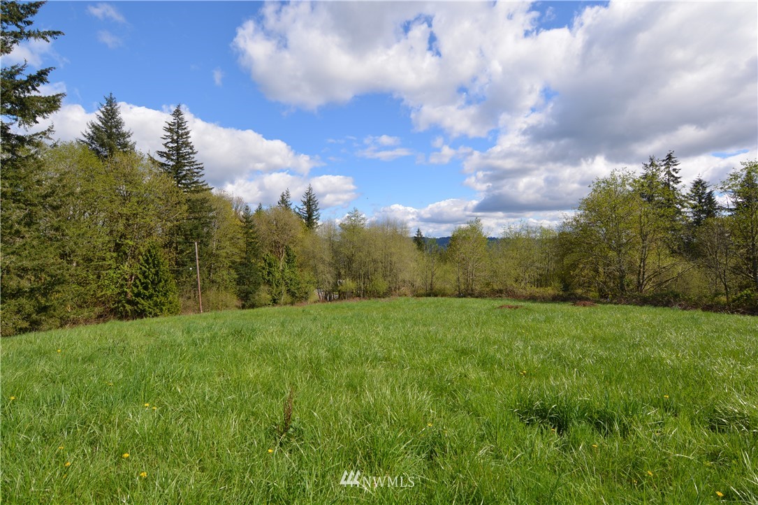 1305 Carroll Road Kelso, WA 98626 - Photo 4 of 25 Gallery Image 4