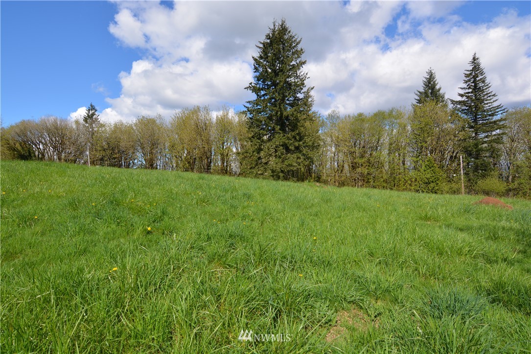 1305 Carroll Road Kelso, WA 98626 - Photo 5 of 25 Gallery Image 5