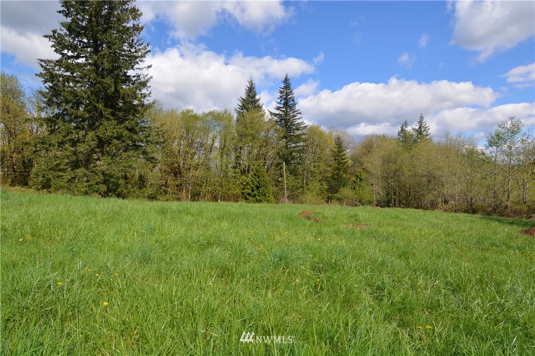 1305 Carroll Road Kelso, WA 98626 - Photo 6 of 25 Gallery Image 6