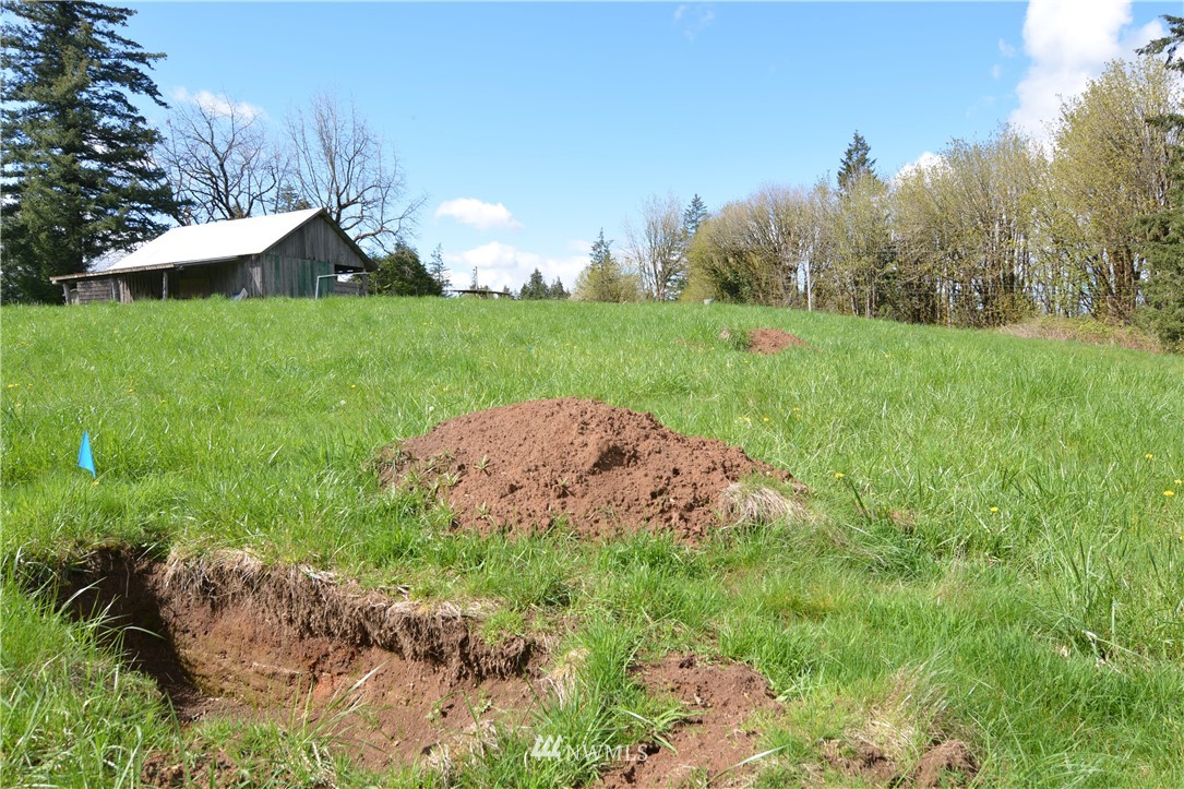 1305 Carroll Road Kelso, WA 98626 - Photo 7 of 25 Gallery Image 7