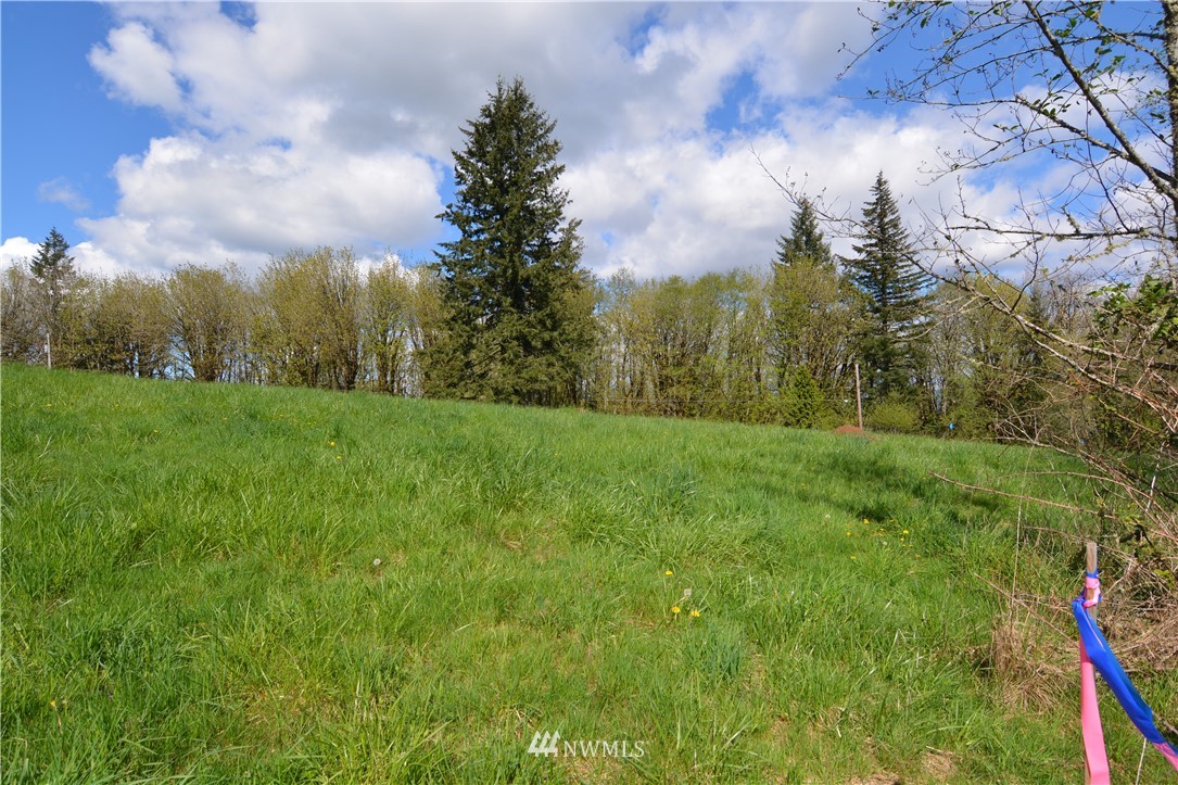 1305 Carroll Road Kelso, WA 98626 - Photo 9 of 25 Gallery Image 9