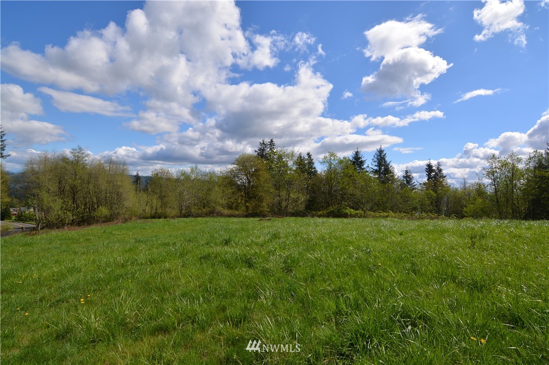 1305 Carroll Road Kelso, WA 98626 - Photo 10 of 25 Gallery Image 10
