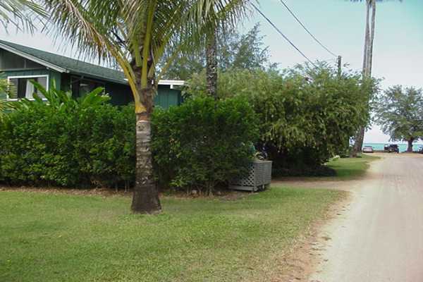 4386 Hee Road Hanalei, HI 96714 - Photo 19 of 28 a view of a yard with plants and trees